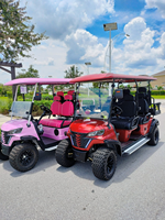 Voiturette de golf électrique chinoise Florescence 60V, 4 places, buggy de luxe tout-terrain 4x4, vitesse 30-50 km/h et autonomie 70-90 km, à vendre
