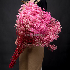 Fleurs <span class=keywords><strong>séchées</strong></span> décoratives artisanales de Gypsophile (Souffle de Bébé) – Éternelles, longue durée (3-5 ans) – Prix usine pour le Nouvel An Chinois - Product Image 2