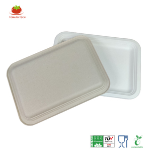 PFAS Free 14x10 Inch Rectangular Bagasse Tray OK Compost Certified Compostable <strong>Disposable</strong> Microwave Safe Eco-Friendly <strong>Platters</strong> - Product Image 3