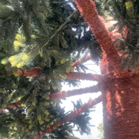 Árbol de Navidad Súper Grande, de Grado Comercial, Directo de Fábrica, para Decoración Navideña
