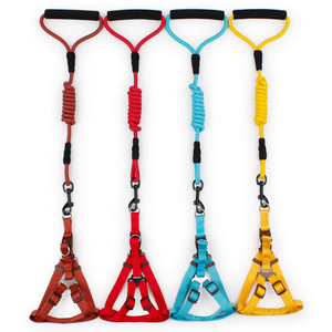 Nuova Linea di Collari e Guinzagli per Cani in Poliestere Personalizzati all'Ingrosso - Product Image 3