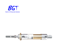CH99P014.800.2 P119295 Pneumatikzylinder, 14 mm Bohrung, 800 mm Hub, doppeltwirkend, aus Aluminiumlegierung, mit integriertem Magnet, Ersatzteil