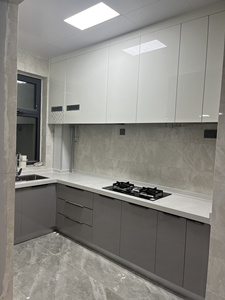 Armoire <span class=keywords><strong>de</strong></span> <span class=keywords><strong>cuisine</strong></span> moderne <span class=keywords><strong>de</strong></span> style shaker <span class=keywords><strong>pour</strong></span> appartement <span class=keywords><strong>peinture</strong></span> brillante meubles en bois avec évier armoires <span class=keywords><strong>de</strong></span> base conception <span class=keywords><strong>de</strong></span> <span class=keywords><strong>cuisine</strong></span> à domicile - Product Image 5