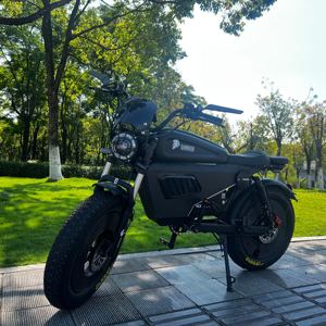 Bicicleta Eléctrica Negra 2026, 60v 3000w, Bicicleta de Montaña con 130km de Autonomía, Batería de Litio 60V50AH, SS10 HCBK-SS10 - Product Image 1