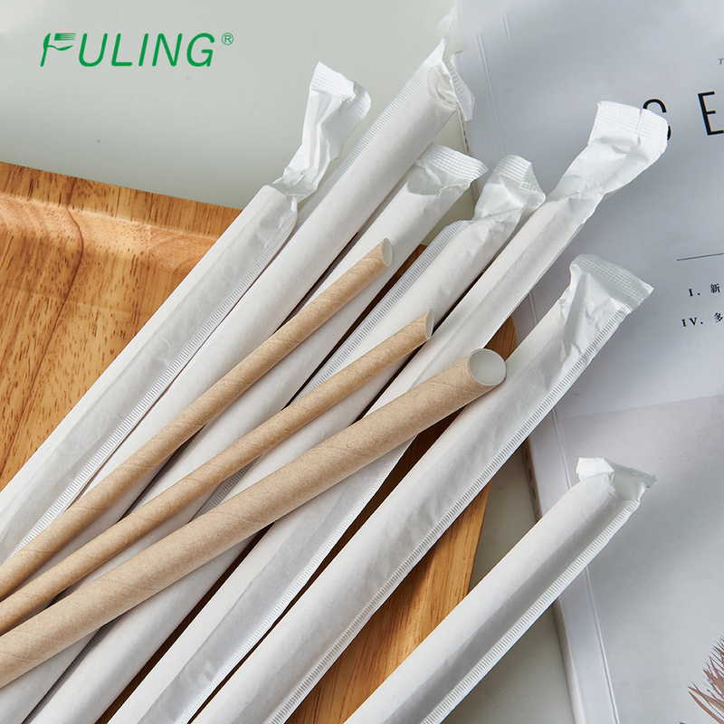 Disposable Eco friendly PLA Plastic Spoon