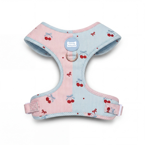 애완용품 <span class=keywords><strong>2026</strong></span> 새로운 디자인 패션 강아지 하네스와 리드 네오프렌 강아지 하네스 맞춤형 강아지 하네스 세트 (배변봉투 홀더 포함) - Product Image 1