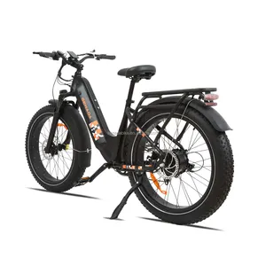 US Warehouse Only Retro Ebike Factory Bicycle For Men