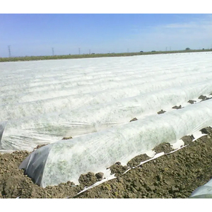 ถุงคลุมกล้วยโพลีโพรพิลีน100% ถุงผ้าไม่ทอสปันบอนด์ถุงป้องกันแบบเต็มรูปแบบมีรูพรุนสำหรับกล้วย - Product Image 4