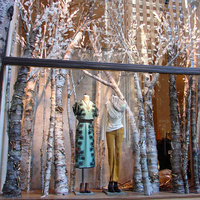 Décoration de Noël Bouleau artificiel 5m avec écorce blanche réaliste Bouleaux blancs artificiels pour la décoration du hall de l'hôtel