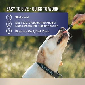 Ücretsiz örnek en çok satan 100% doğal Silybum DHA sıvı damla antioksidan etkisi korumak karaciğer sağlık köpek kedi 30ml/60ml - Product Image 5