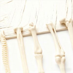 Hot-Selling Bone-Shaped Kawaii Plastic Gel With Logo Promotional Ballpoint Pen <b>Gift</b> Item <b>Creative</b> and Novel Advertising Pens - Product Image 2