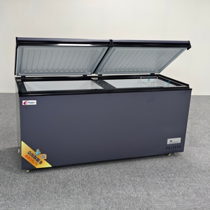 Congélateur industriel à choc 400L-800L à <span class=keywords><strong>double</strong></span> <span class=keywords><strong>porte</strong></span> pour la congélation rapide des fruits de mer et de la viande, thermostat intelligent, -40°C, CE - Product Image 6
