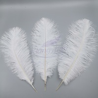 Plumes d'autruche blanches teintées en gros, 45-50 cm (18-20 po), pour fêtes, carnavals, bricolage et décoration de scène