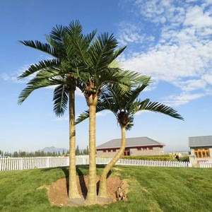 <span class=keywords><strong>2025</strong></span> nóng bán cây cọ dừa nhân tạo nhiệt đới đã mô phỏng thân cây lá thực tế cho trung tâm mua sắm trang trí ngoài trời - Product Image 6