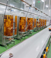 Machine de remplissage et d'emballage de sachets de crème au chocolat en forme de cône
