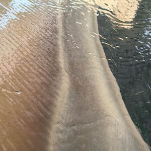 ग्रेविटी विभाजक 64500 हिंग टेबल खनिज अलग करने वाली मशीन खनन शेकर टेबल सोने के लिए - Product Image 3