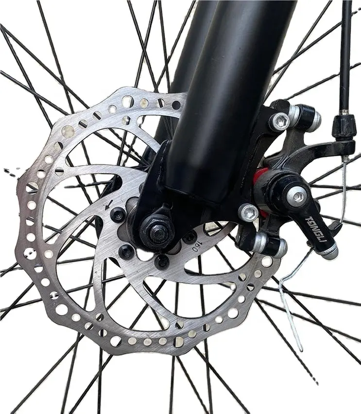 Skyward OEM xe đạp Nhà cung cấp 29 inch MTB xe đạp leo núi với phanh đĩa cho người lớn