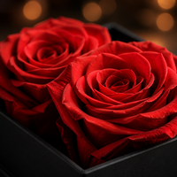 Boîte à fleurs carrée de luxe avec 4 roses réelles préservées, rose éternelle sans eau ni soleil, cadeau de mariage pour la Saint-Valentin, vente en gros personnalisée