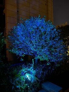 Bohlam <span class=keywords><strong>LED</strong></span> Pintar Tahan Cuaca 5W MR16 RGBCW Dapat Diredupkan AC/DC 12V Kontrol Bluetooth untuk Lampu Sorot Taman Tegangan Rendah - Product Image 5