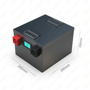 بطارية ليثيوم أيون Lifepo4 بجهد 48 فولت وسعة 50 أمبير ساعة لعربة الجولف 48 فولت - Product Image 5