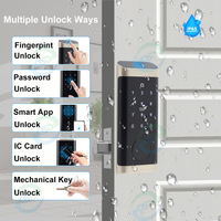 Serrure intelligente sans clé à verrouillage automatique TTlock en alliage de zinc étanche haute sécurité avec application WiFi Tuya pour porte en acier