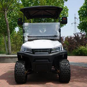 <span class=keywords><strong>Prix</strong></span> de gros Voiturette de <span class=keywords><strong>golf</strong></span> électrique 2 places <span class=keywords><strong>Batterie</strong></span> au lithium 5kW Moteur à courant alternatif 100km Longue portée Buggy de <span class=keywords><strong>golf</strong></span> voiture de <span class=keywords><strong>golf</strong></span> électrique <span class=keywords><strong>Prix</strong></span> - Product Image 3