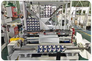 Tùy Chỉnh Tự Động Ép Đứng Lên Túi Nhựa Máy Lỏng Uống Bao Bì <span class=keywords><strong>Doypack</strong></span> Zipper Spout Pouch Bag Making Machine - Product Image 5