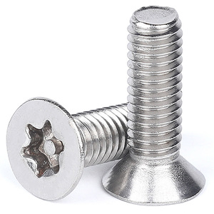 M3 M4 M5 M6 Roestvrij Staal 304 Anti-Diefstal Schroef Torx Socket Plat Verzonken Beveiliging Met Pin Torx Schroef