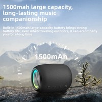 Nouveau Haut-parleur sans fil 2026 pour Subwoofer, Stéréo Puissant, de Bureau et d'Extérieur, Pratique, Petit Canon en Acier avec Emplacement pour Carte TF