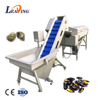 Industriële Transportband Type Aardappel Schoner Wortel Wasmachine Fruit Groente Presoak Machine Voor Verkoop