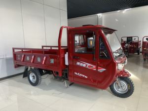 รถจักรยานยนต์สามล้อแบบ3ล้อสำหรับขนส่งผลิตจากจีน - Product Image 4