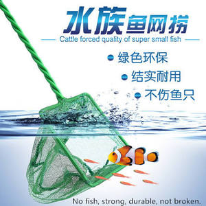 Lưới Đánh Cá Bể Cá Lưới Đánh Cá Bằng Nylon Nhỏ Có Tay Cầm Bằng Nhựa Cho Bể Cá 8Inch/6Inch/5Inch/4Inch Màu Xanh Lá Cây - Product Image 2