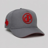 Casquette de baseball personnalisée avec logo brodé, perforée au laser, réglable, respirante, protection solaire, pour le camping en plein air