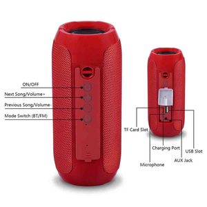 TG117 altoparlante esterno Mini Wireless BT sport impermeabile Subwoofer portatile dente blu Tf Card altoparlanti - Product Image 4