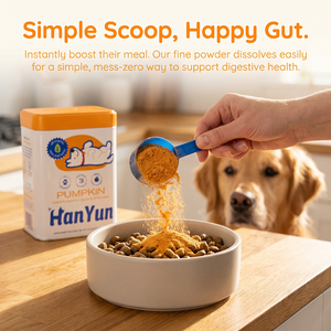 Polvere Naturale di Zucca per Cani, Salute Digestiva, Alto Contenuto di Fibre, Sollievo da Stitichezza e Diarrea, Cura dello Stomaco Canino - Product Image 6