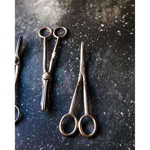 Ciseaux de cuisine Gabriella P. English Grape - Product Image 1