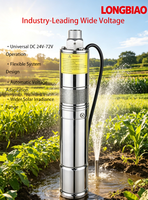 Pompe à eau solaire hors réseau LONGBIAO 3YYS DC 72V à haute pression, pompe à vis en fonte améliorée pour puits profonds, pour zones isolées, avec relance automatique