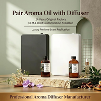 Diffuseur d'arômes portable avec batterie, capacité de 500 ml, pour parfumer de grandes surfaces dans les hôtels, les foyers et les espaces commerciaux