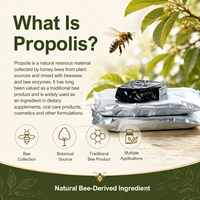 BEEHALL Fournisseur d'ingrédients de propolis naturelle hydrosoluble pour les fabricants mondiaux de compléments alimentaires