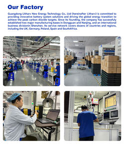 Batería de Litio LiFePO4 Litharv 25.6V <span class=keywords><strong>200Ah</strong></span> 300Ah Directo de Fábrica para Almacenamiento de Energía, Cubierta de Plástico de Repuesto, 6000 Ciclos - Product Image 5