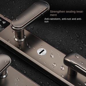 Sang Trọng Retro Thép Không Gỉ Biệt Thự An Ninh Đôi Cửa Không Thấm Nước Vân Tay Kết Hợp Khóa Mới Truy Cập Điện Tử Phụ Tùng Ô Tô - Product Image 2