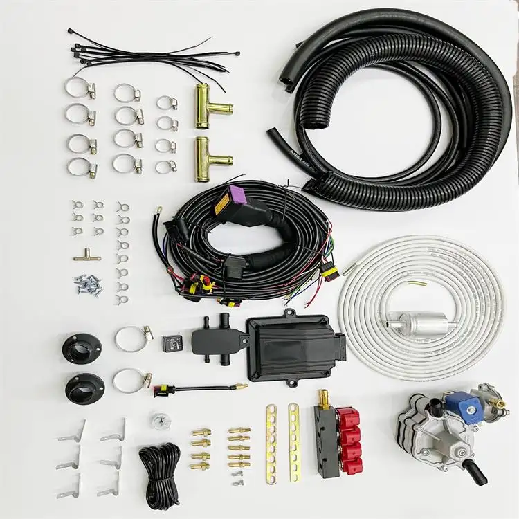 Kit di conversione carburatore per Auto elettrica gpl Efi Auto Gas Cng Gnc Gnv Kit di conversione 4 cilindri conversione generazione motore