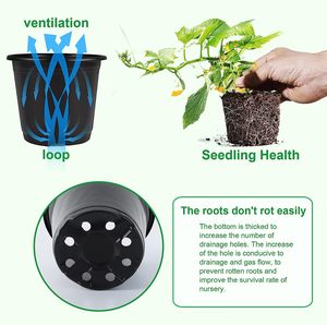 Vasi in Plastica Neri da 4 e 6 Pollici <span class=keywords><strong>per</strong></span> Semina e Fiori, Vendita all'Ingrosso <span class=keywords><strong>per</strong></span> Giardinaggio - Product Image 4