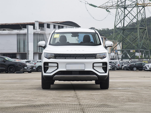 Nuovo Pickup Elettrico 4x4 Geely Radar Rd6 2025, Auto Elettrica con Autonomia di 6520 km - Product Image 2