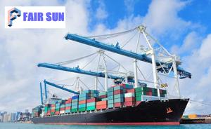 El mejor envío de carga FCL 20GP de <span class=keywords><strong>Qingdao</strong></span> a Visakhapatnam India Servicio de logística de agente de transporte profesional - Product Image 6