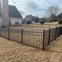 Clôture en acier galvanisé décorative et durable à prix d'usine pour jardin et clôture tubulaire métallique de délimitation