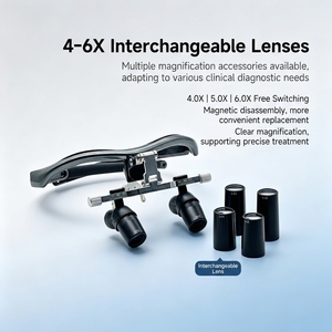 Loupes Ergonomiques SHINGD à Attraction Magnétique, Lentilles Optiques Remplaçables à Échange Rapide 4X, 5X, 6X, Lampe Sans Fil - Product Image 1