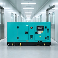 Groupe électrogène diesel silencieux Weichai 250 kW 312 kVA avec capot insonorisé triphasé refroidi par eau