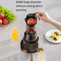 Koudgeperste zelfreinigende 300ml roestvrijstalen elektrische slowjuicer met stekker, voedingsstoffenmolen voor gebruik in de auto