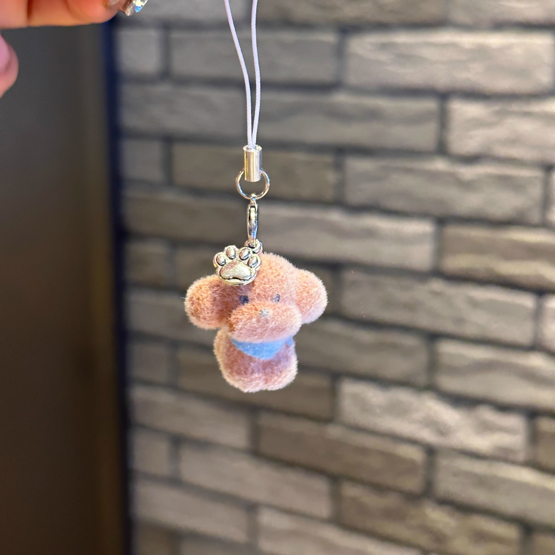[Flocked Teddy Bear] Without spiky hoops and rope